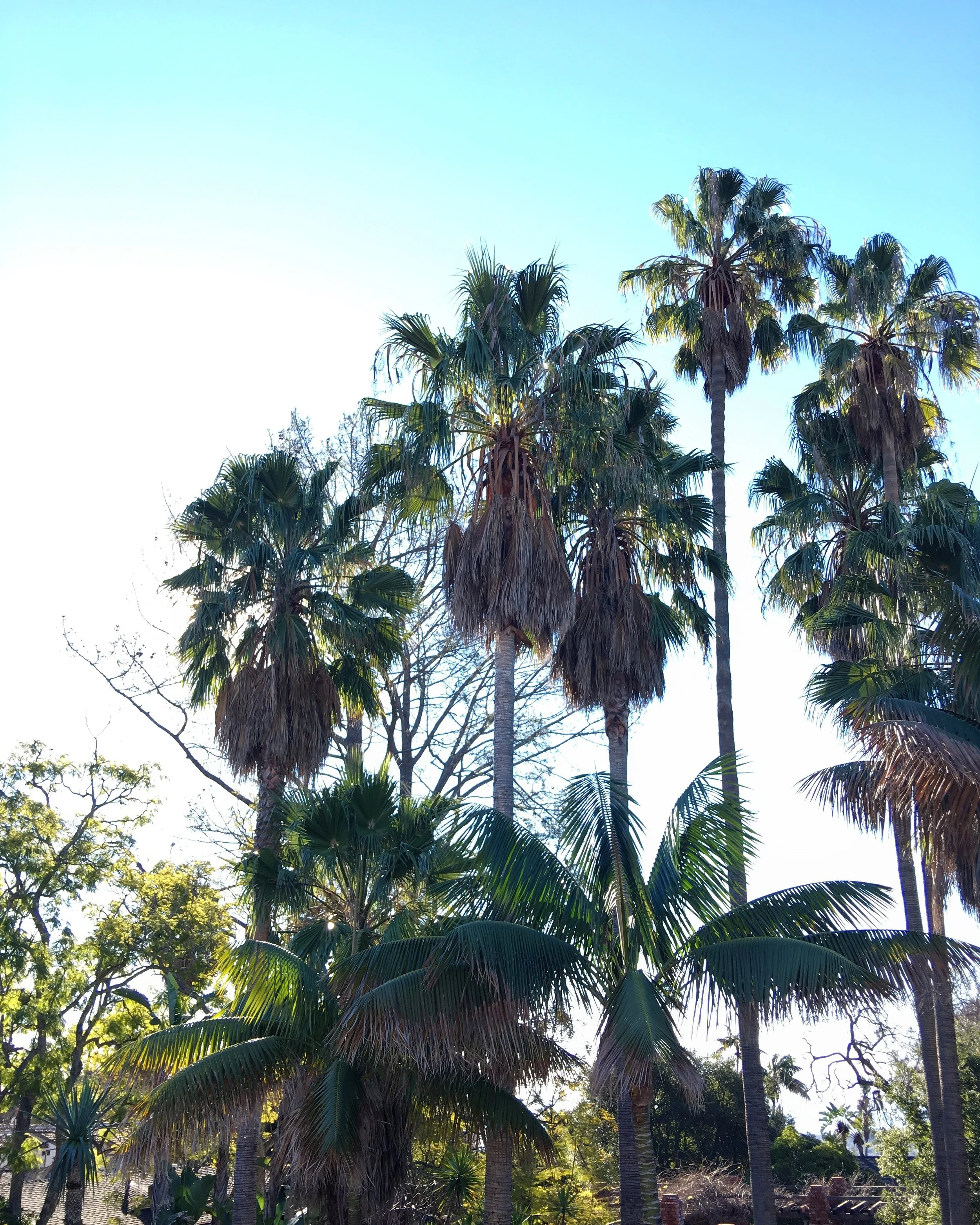 Santa Barbara: Weekend at the Belmond