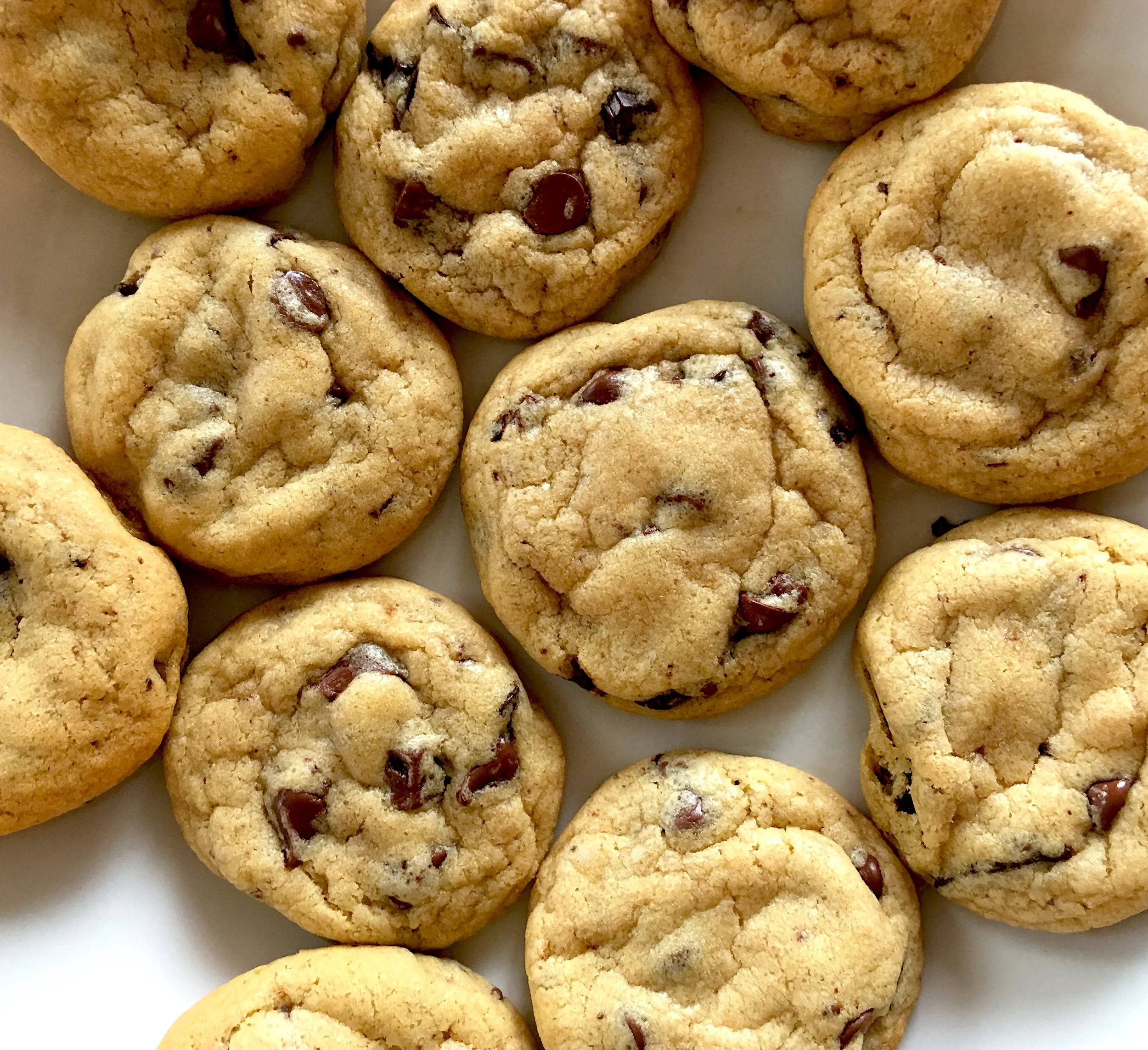 Best Bites of the Week