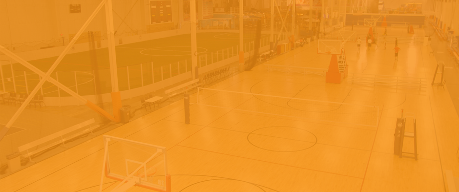 incrediplex background.png