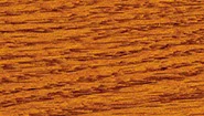 Colonial Maple