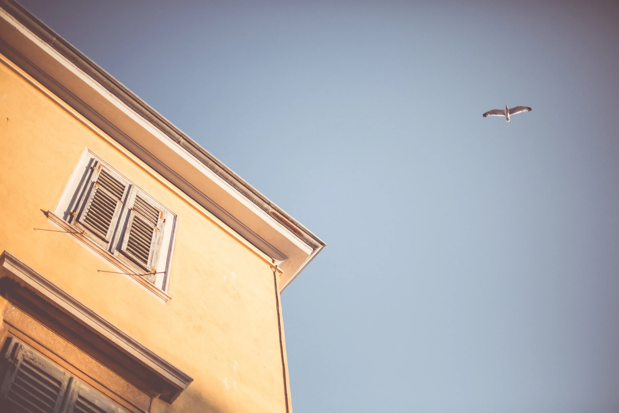 Intuition - what's yours telling you?