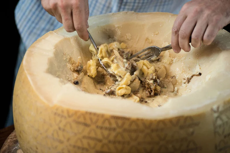 Introducing Pasta Dalla Forma