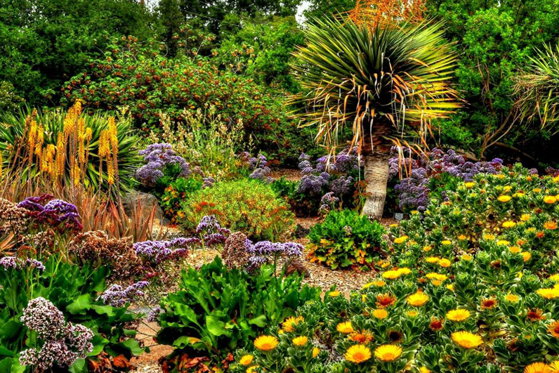 LA Arboretum Places To Go In LA Trees and Flowers.jpg