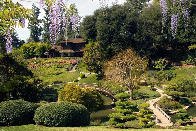 Huntington Library Japanese Garden View.jpg