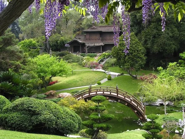 Huntington Library Japanese Garden.jpg