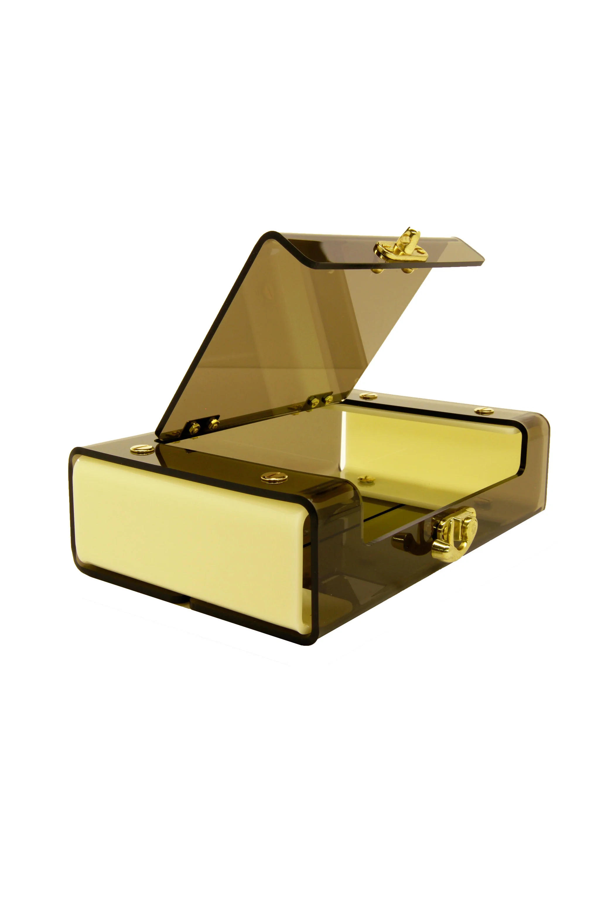 Gold Clutch Acrylic Handbag