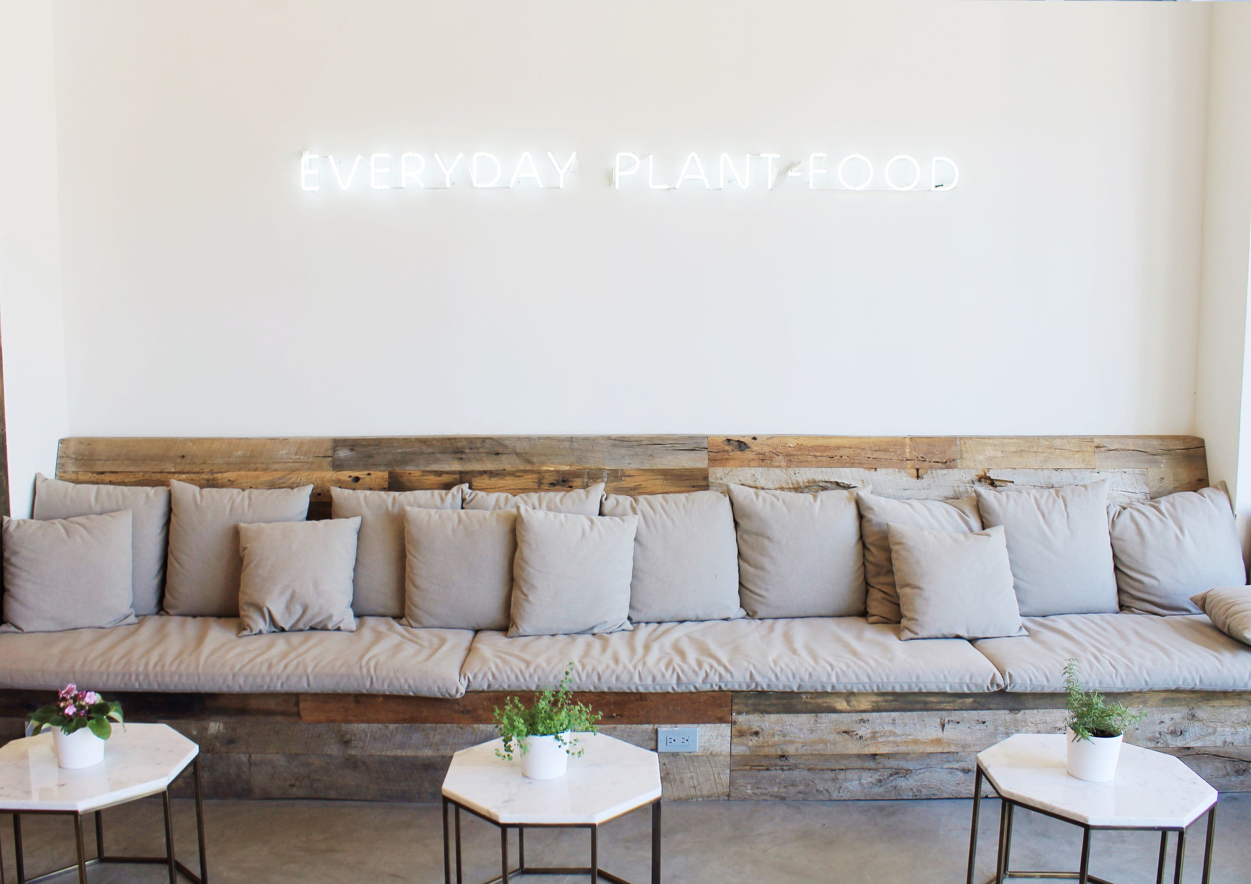 Make Out Everyday Plant Food.jpg