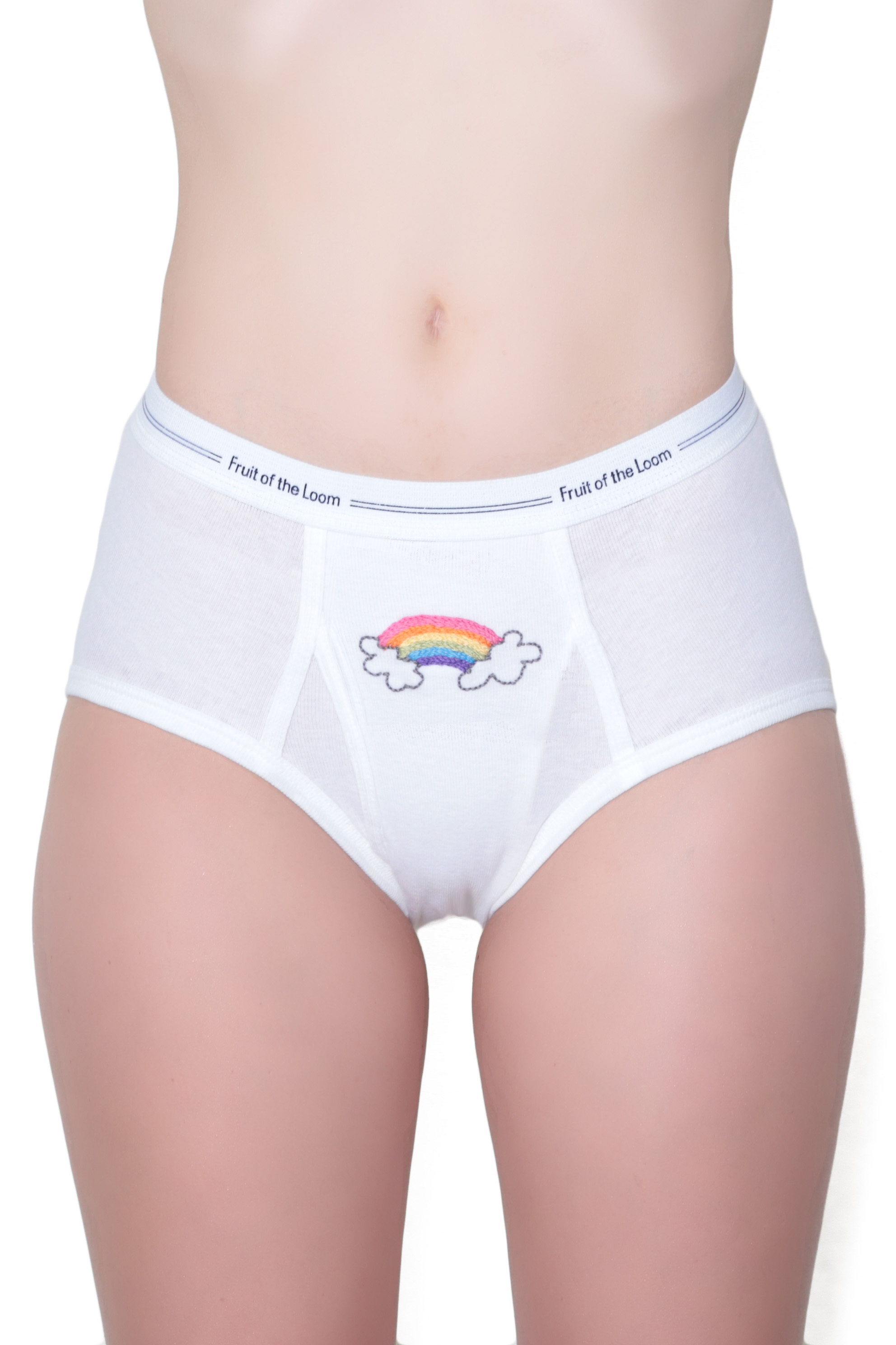 Rainbow Embroidery Undies