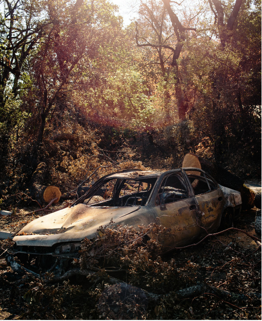 Harbin Hot Springs California, 2016 Photographs by Brian Flaherty