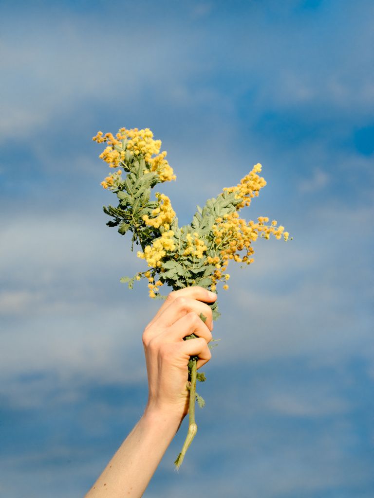 Photograph by Amy Harrity