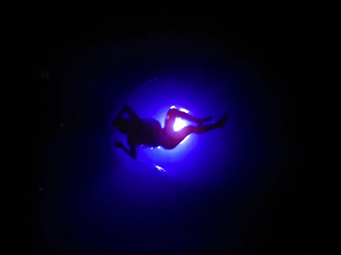 fuerza bruta 1.jpg