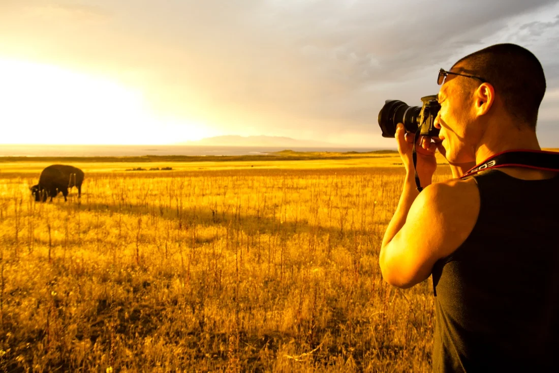 salt lake city utah 13; antelope island sunset bison glenn photographing.jpg