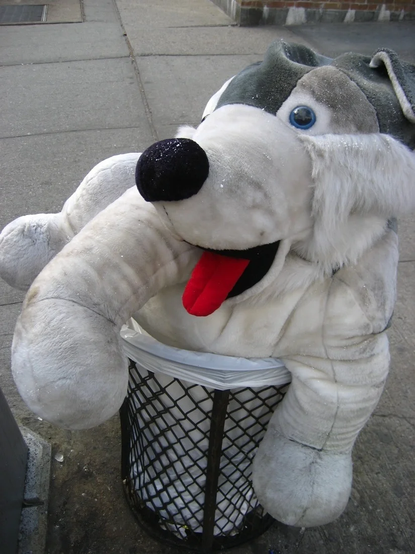 stuffed animal in the garbage.jpg