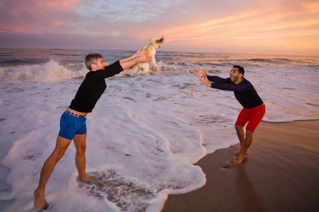fire island pines septmber 20th & 21st 2014 25; dana wissam sunset beach dog throw.jpg