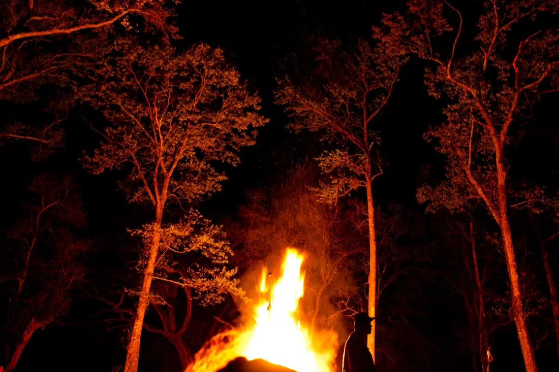 Emergence Burn 2019 Charleston 81; Effigy Burning Fire Trees.jpg