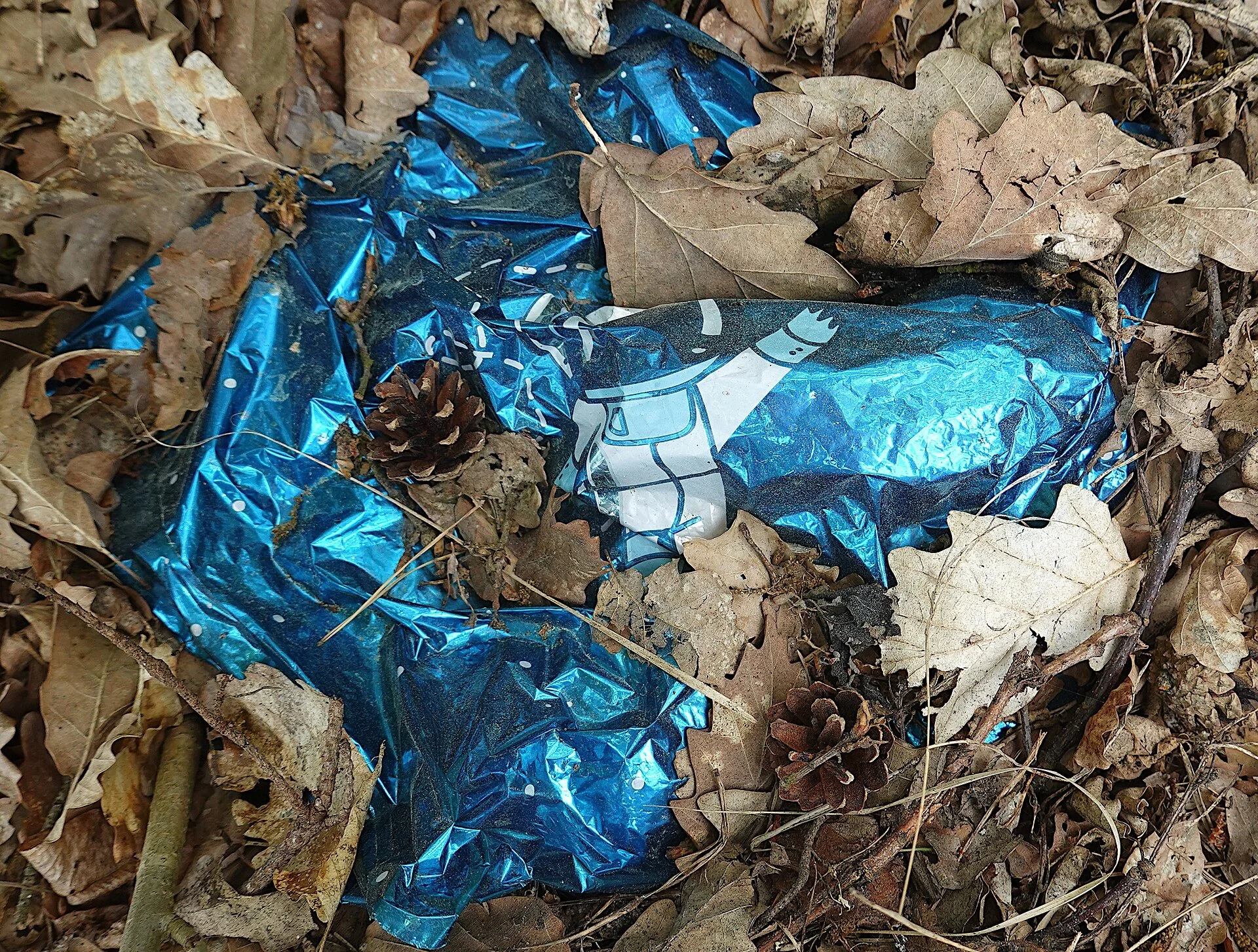 Foil_balloon_abandoned_in_forest.jpg