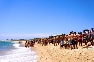 Life and death in N.E.