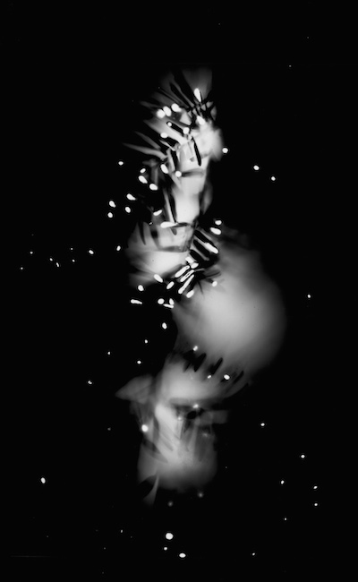 "Pine Needles'' (traditional analog photography) by KRISTI BEISECKER (Copy)