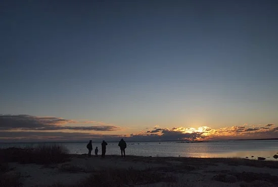 Better Than TV. (Photo By Kari Amick) (Copy)