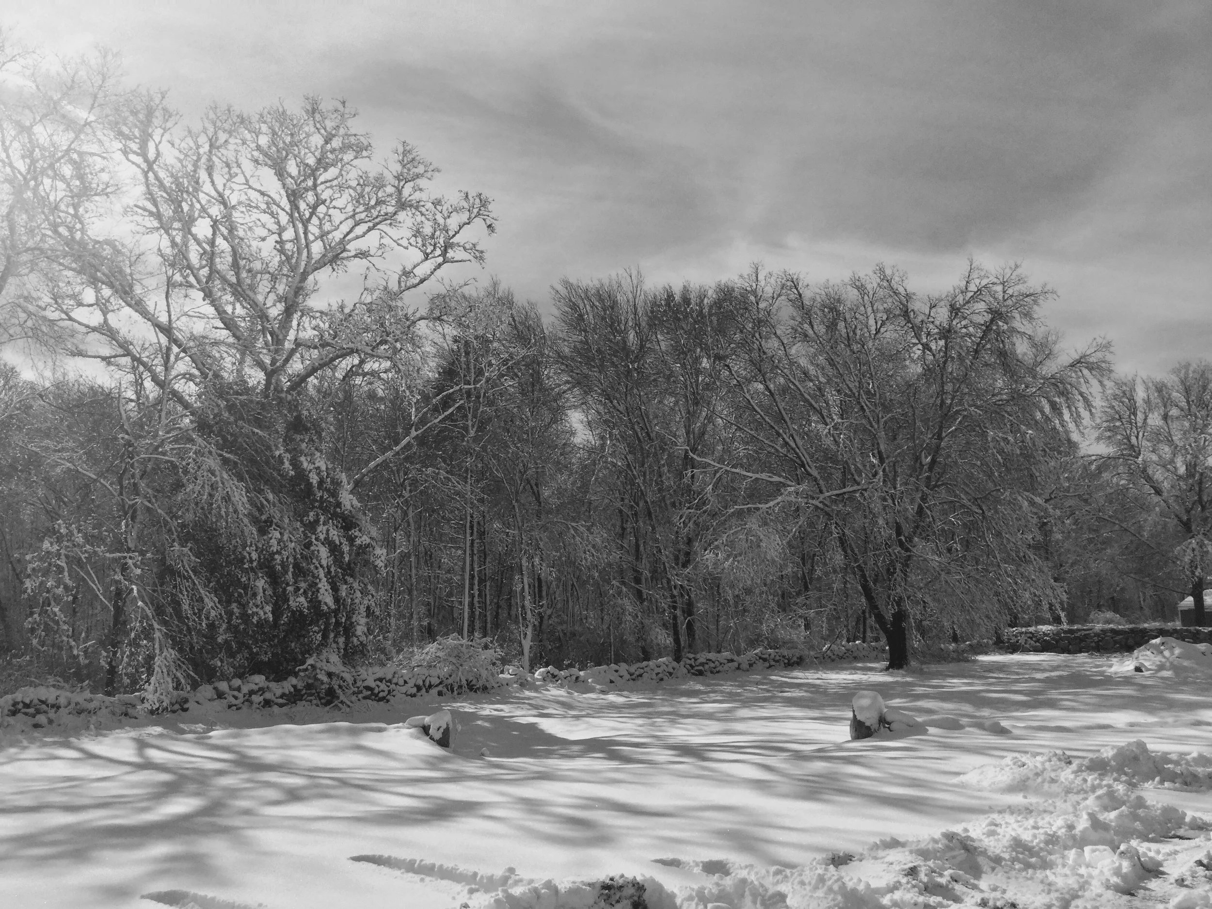 A bit of winter