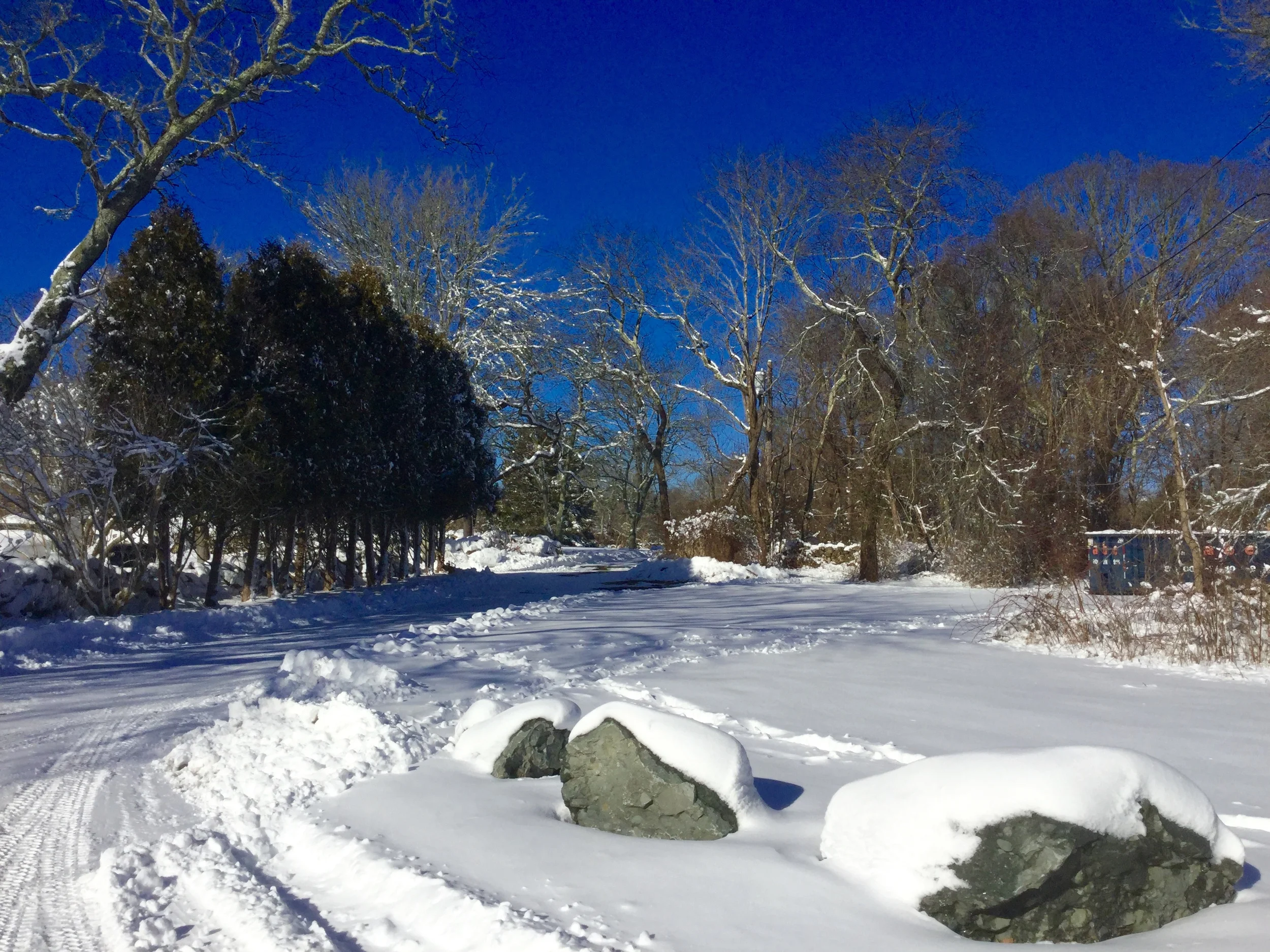'Afternoon in February'