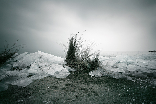 Stephen J. Nelson: Trying to keep ideological chains out of colleges