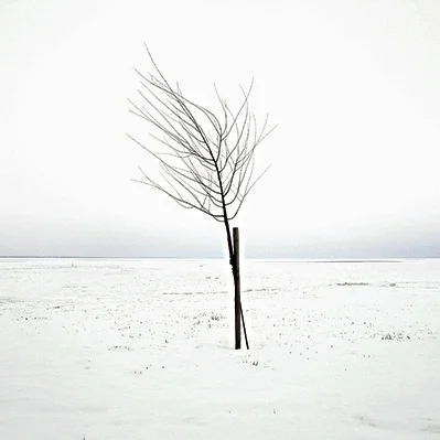 Todd McLeish: Is weird weather El Nino, global warming or both?