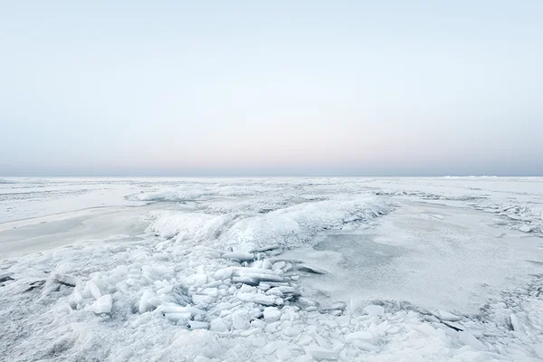 Llewellyn King: Our destruction of life in the oceans
