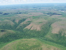 Hills deforested by caterpillars.