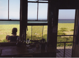 William Morgan: 'On Cape Cod' celebrates 'ebullience of the summer Cape'