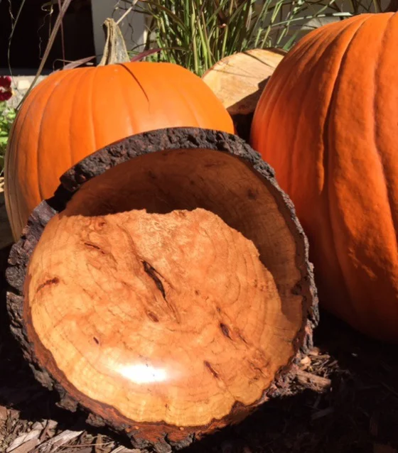 &nbsp;"Avatar #486,'' &nbsp;(cherry burl with bark rim), &nbsp;by Robin Dustin,&nbsp;at the Patricia Ladd Carega Gallery, Center Sandwich, N.H. 