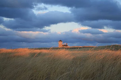 On the Cape Cod National Seashore.