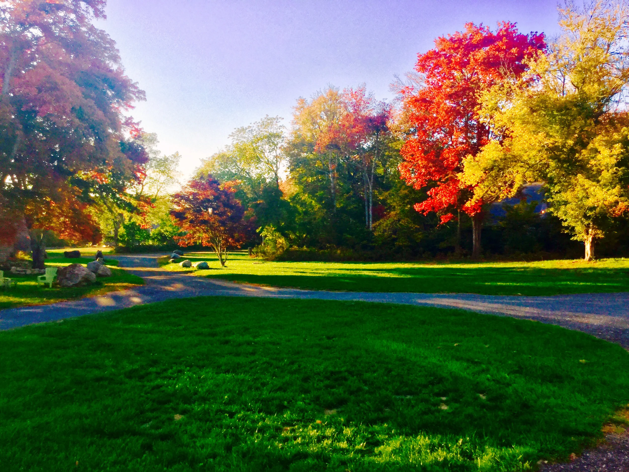 October, the extravagant sister, has ordered an immense amount of the most gorgeous forest tapestry..."