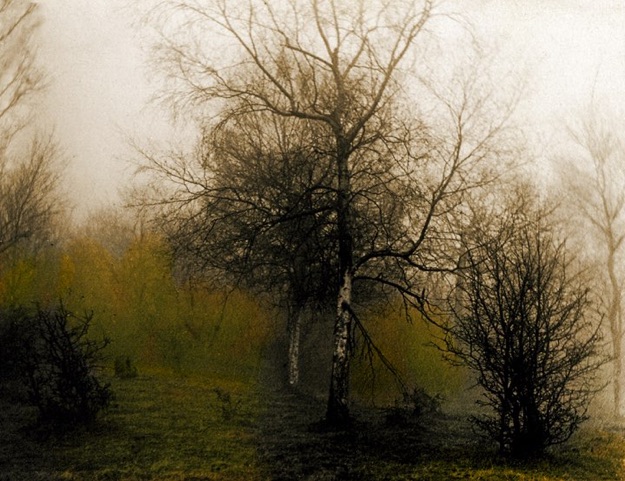 "Morning Fog, Land's End'' (on the coast of Hingham, Mass.) by Russell duPont. Copyright Russ duPont Photographs.