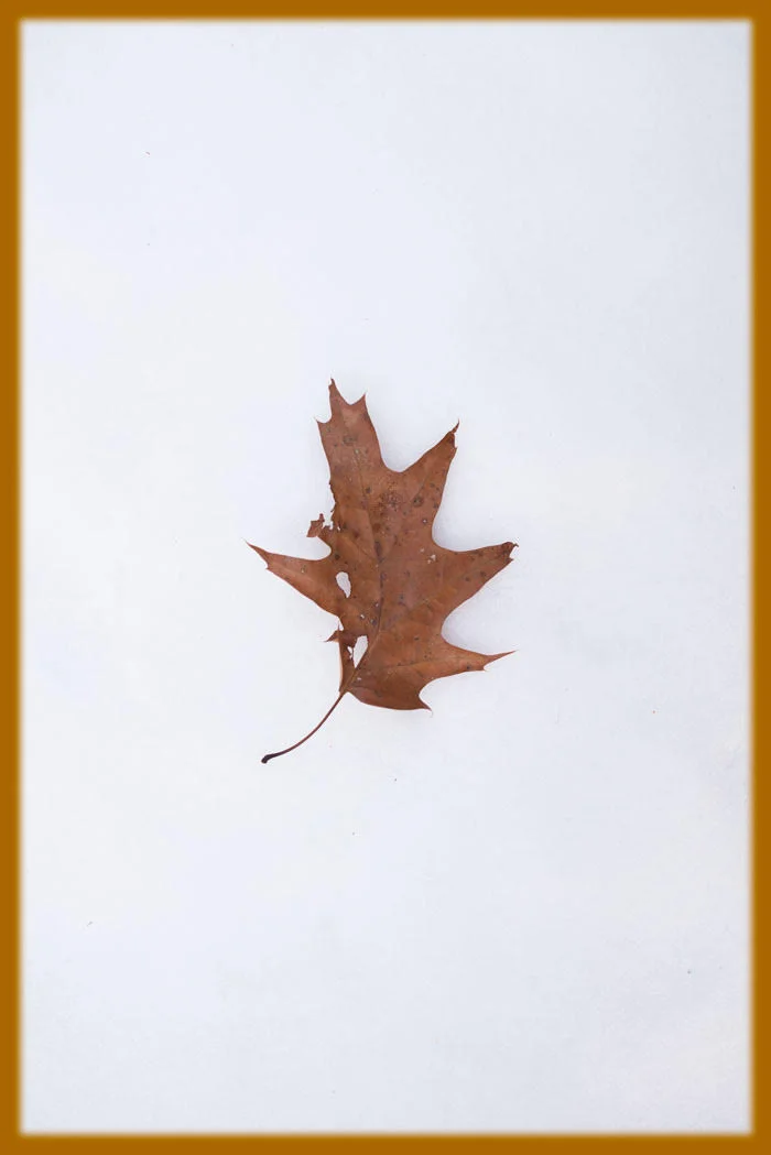 Frank Robinson:  Ending the year with 'a bodyguard of ghosts' all around us