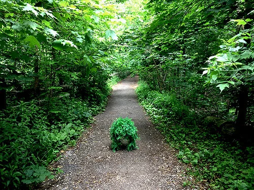 "ENT-e, 2014'' (robotic installation, video and art intervention, by Gabriela Munguia, in the group show "Last Frontier,'' &nbsp;at the Cantor Art Gallery, at the College of the Holy Cross, Worcester,&nbsp;through April 14.