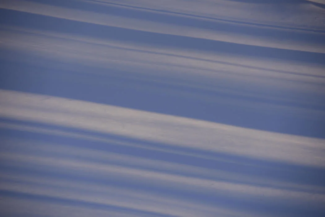 &nbsp;Photo by THOMAS HOOKThe afternoon light reflecting on the snow as the sun shined through the bare winter trees in a backyard in Southbury, Conn.
