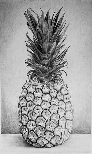 "Pineapple'' (graphite on bristol board), by Hillary Irvine, in the show "Fresh,'' at the Rocky Neck Art Colony, in Gloucester, Mass., through March 12. The pineapple has long been a symbol in New England of welcome, which is odd since we don't grow them here (maybe in a few years we can....)