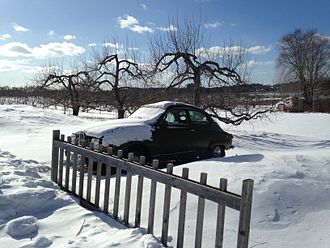 Apple orchard in Hollis, N.H. New England winters help keep out the worst bugs and tropical diseases.