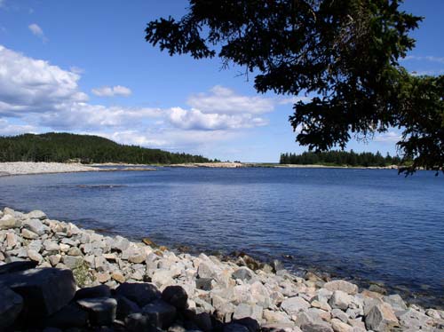 On the Schoodic Peninsula, in Acadia National Park. -- Photo by Bob LeChat