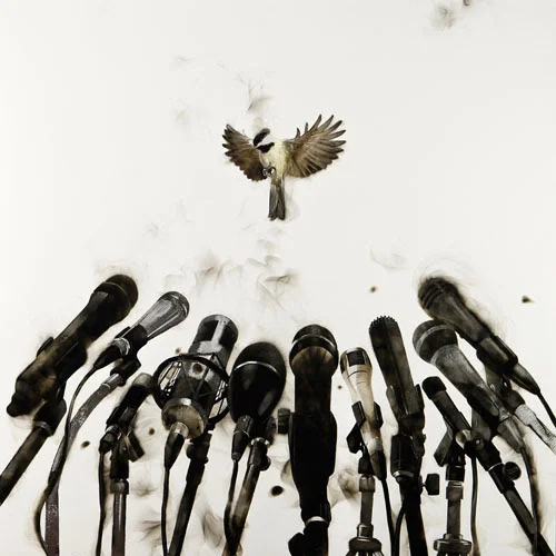 "Twitter'' (soot, silver foil and acrylic on &nbsp;panel), by Steven Spazuk, in his current show, "Spazuk: Hubris, Beauty &amp; Greed,'' at Adelson Galleries, Boston.