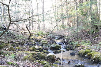 In Southbury, Conn.