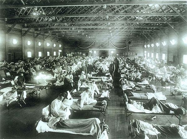 Soldiers from Fort Riley , Kansas , ill in the great influenza pandemic of 1918.
