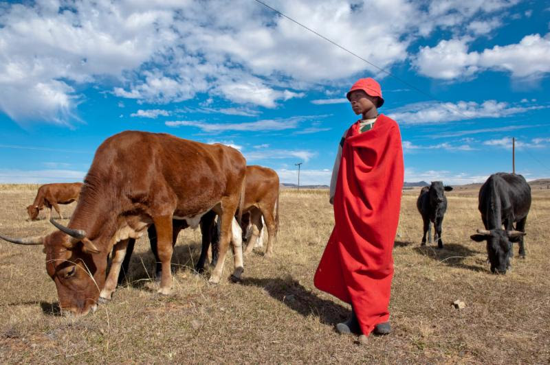"Lesotho,'' by Lou Jones, in the show "Contrasts: Varying Visions from Six Master Photographers,'' at the Cape Cod Museum of Art, Dennis, Mass., through June 25.