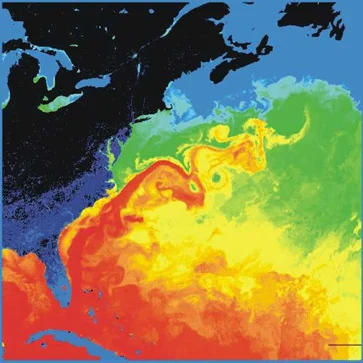 Surface temperatures&nbsp;in the western North Atlantic. The North American landmass is black and dark blue (cold), while the Gulf Stream is red (warm). Source:&nbsp;NASA