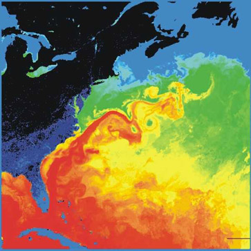 Surface temperatures in the western North Atlantic. The North American landmass is black and dark blue (cold), while the Gulf Stream is red (warm). Source: NASA