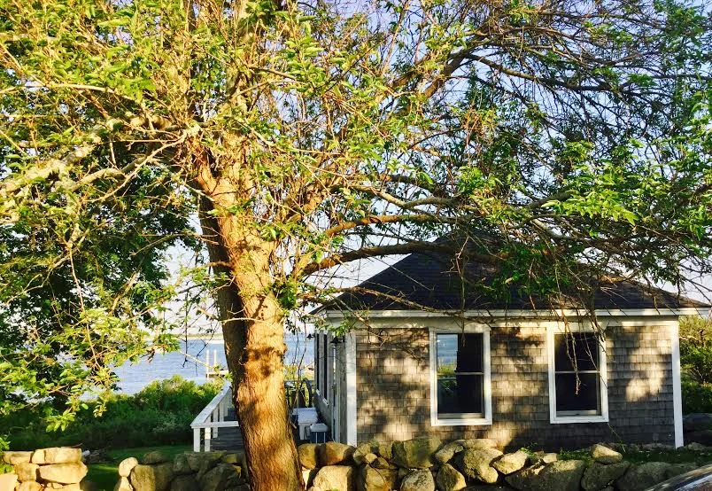 Boathouse in Westport, Mass., as summer beckons.-- Photo by Lydia Davison Whitcomb