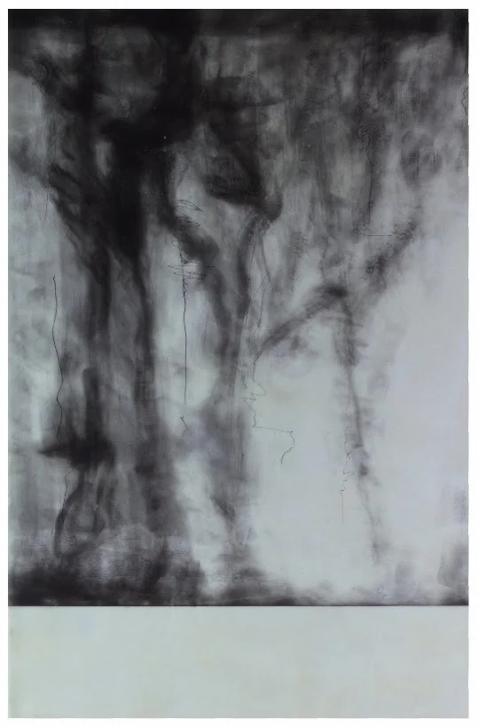 "Silent Shadows'' (graphite and wax on aluminum), by Munira Naqui, in show at Corey Daniels Gallery, Wells, Maine, July 1-29. The gallery says Naqui's work "creates seductive, ethereal compositions that encourage a slowing down into stillness and re…