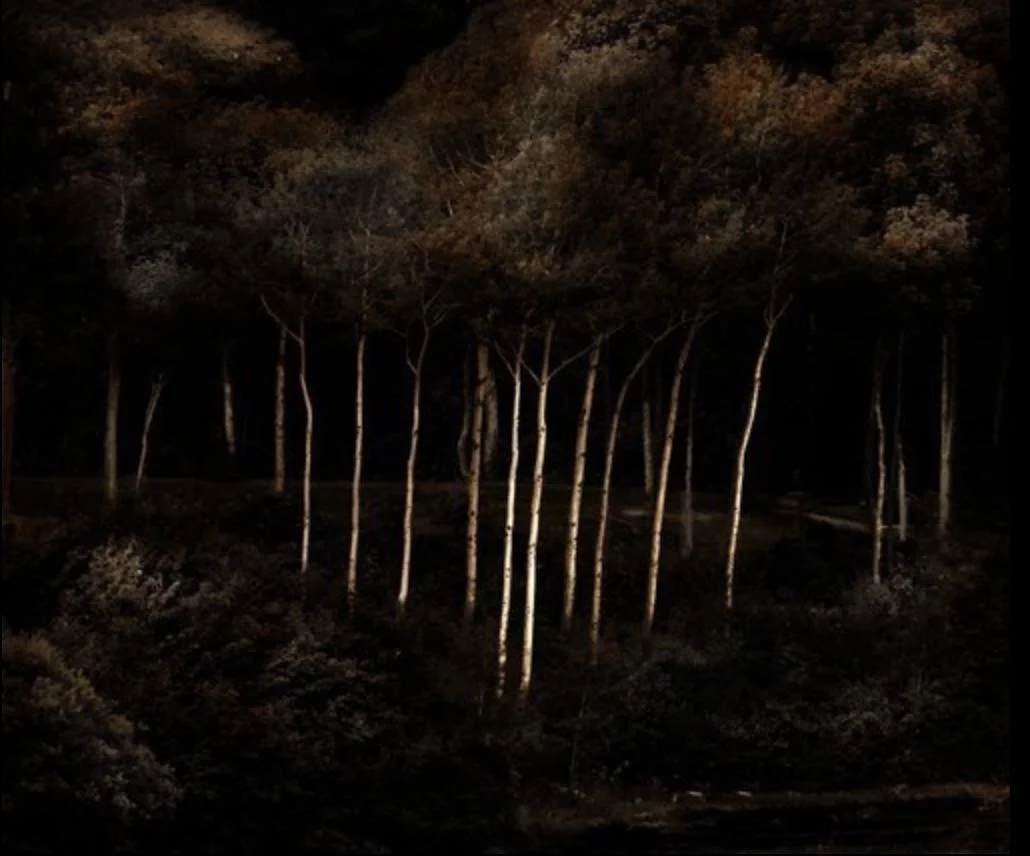 "Birches, Maine,'' by Russell duPont in his show "A Sense of Place: Photographs by Russell duPont,'' through October, at the Whitman (Mass.) Public Library. Mr. duPont has also just published a coming-of-age novel, King &amp; Train, that is availabl…