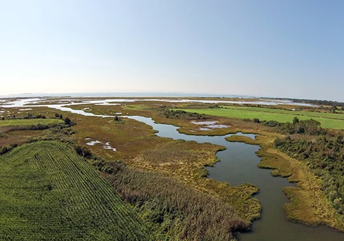 This 115-acre farm was one of the last undeveloped and unprotected areas of coastal farmland on Buzzards Bay. (Dartmouth Natural Resources Trust)